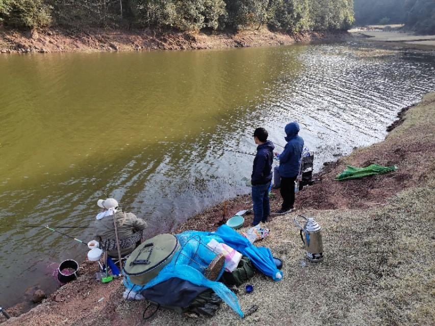 最新水庫釣魚(yú)視頻，探索釣魚(yú)樂(lè )趣與技巧全攻略