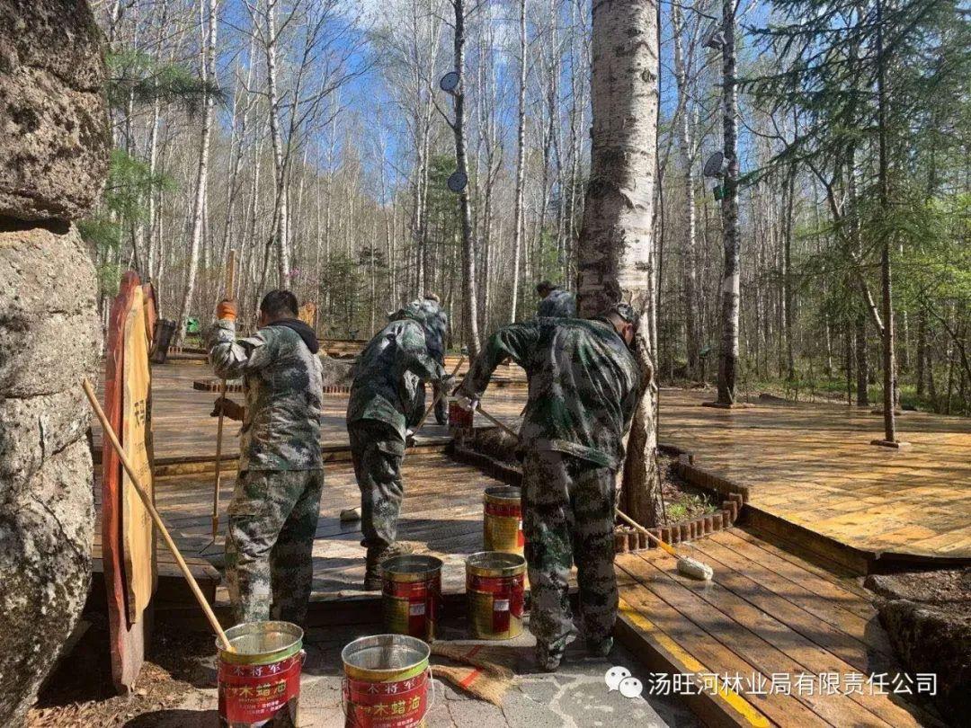 探尋神秘寶石世界的獨特魅力，最新奇石新聞報道