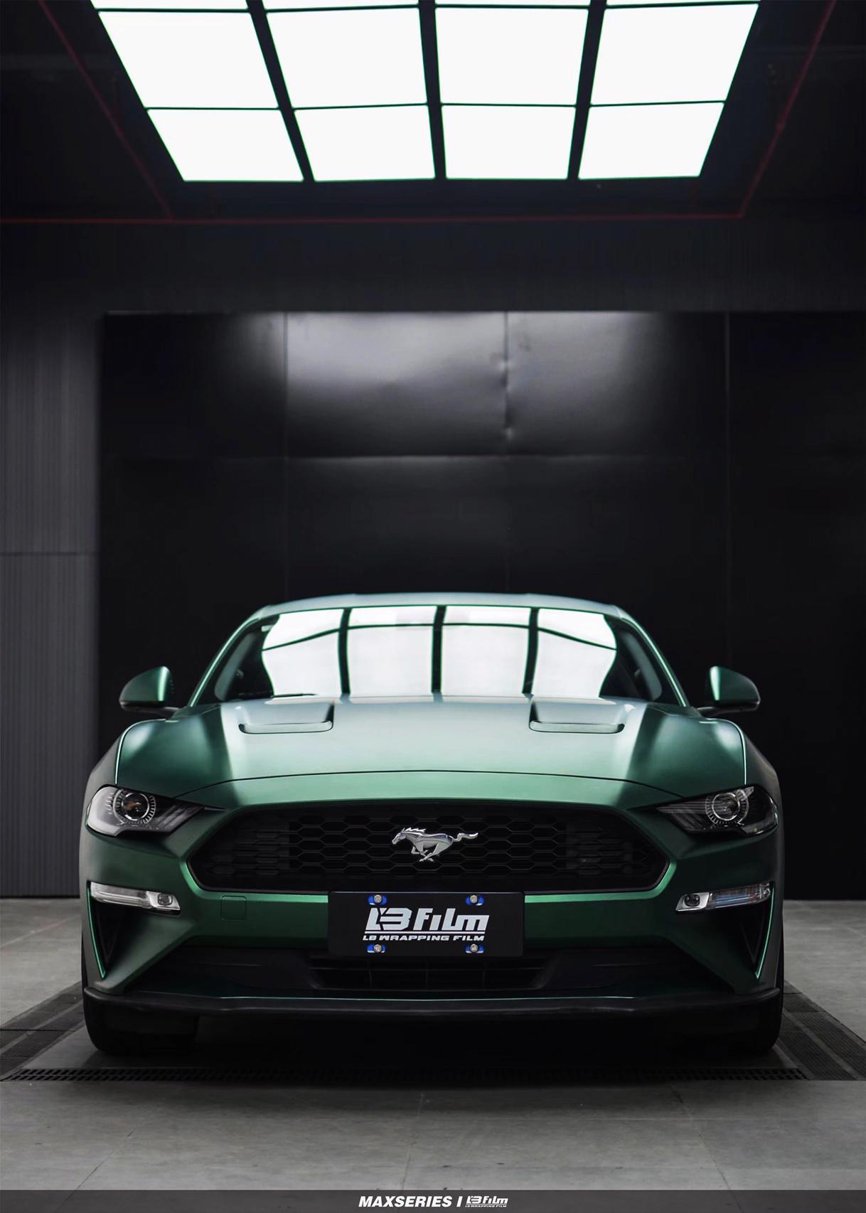 最新野馬汽車(chē)，技術(shù)革新與市場(chǎng)競爭的展現