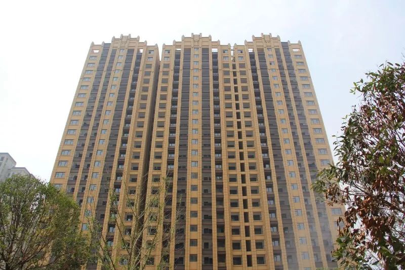 紫荊城邦最新動(dòng)態(tài)，揭開(kāi)未來(lái)生活新篇章的序幕