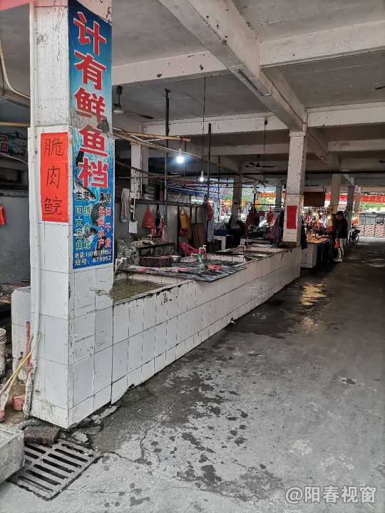 最新魚(yú)檔轉讓?zhuān)盐丈虣C，輕松開(kāi)啟水產(chǎn)養殖事業(yè)之路