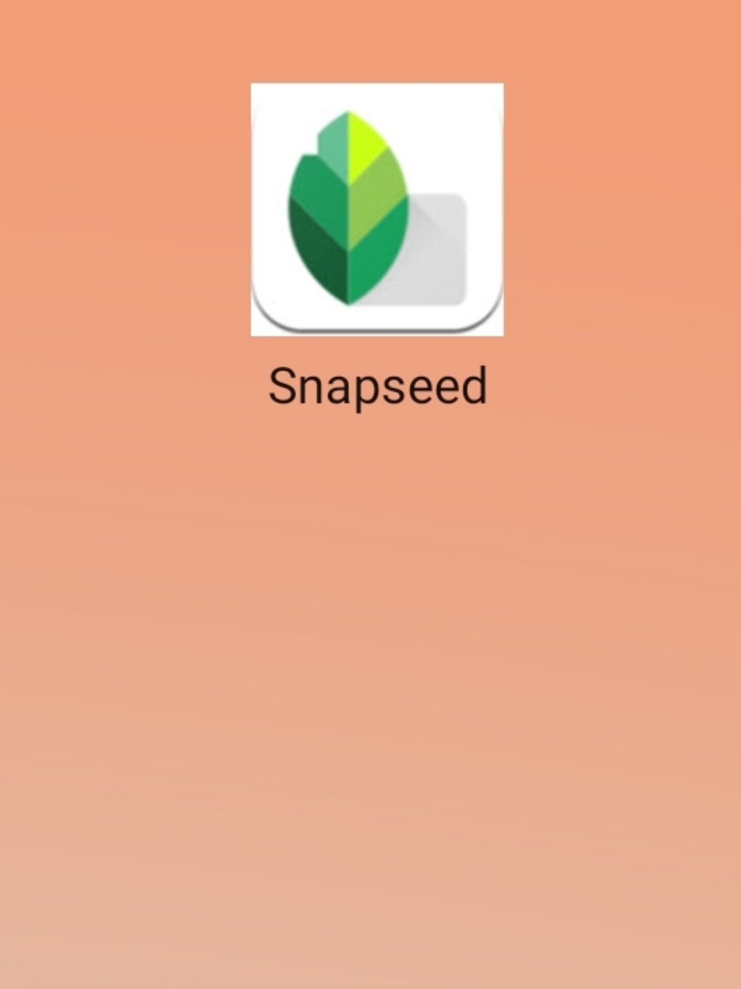 最新snapseed中文版，科技重塑影像，讓生活因攝影更精彩
