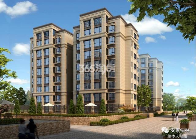 銀城東岳府最新動(dòng)態(tài)分析揭秘，最新消息與進(jìn)展