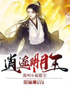 時(shí)代之光下的璀璨篇章，明月珰最新連載熱議熱議熱議！