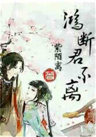 沈南汐最新小說(shuō)，知識的力量，成就夢(mèng)想的翅膀之路