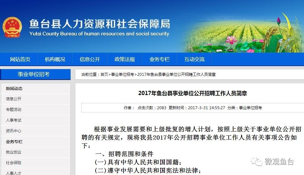 魚(yú)臺最新招聘信息大全，求職步驟指南與招聘信息更新速遞