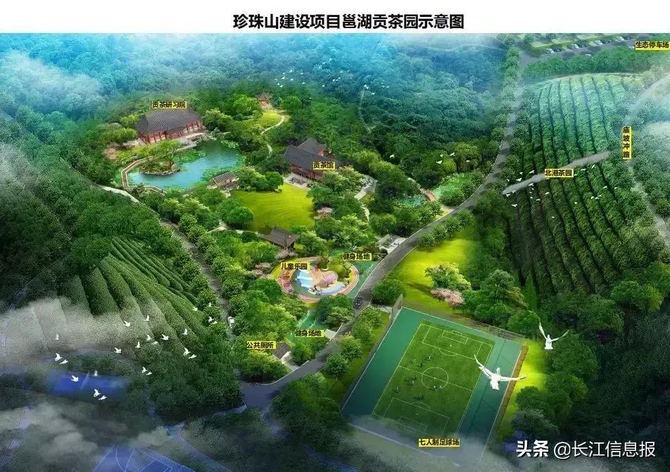 岳陽(yáng)北港小學(xué)最新動(dòng)態(tài)揭秘，校園新聞與活動(dòng)更新