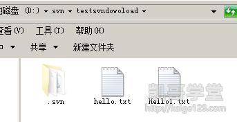 Jav最新網(wǎng)址探索，小巷深處的獨特風(fēng)味之旅