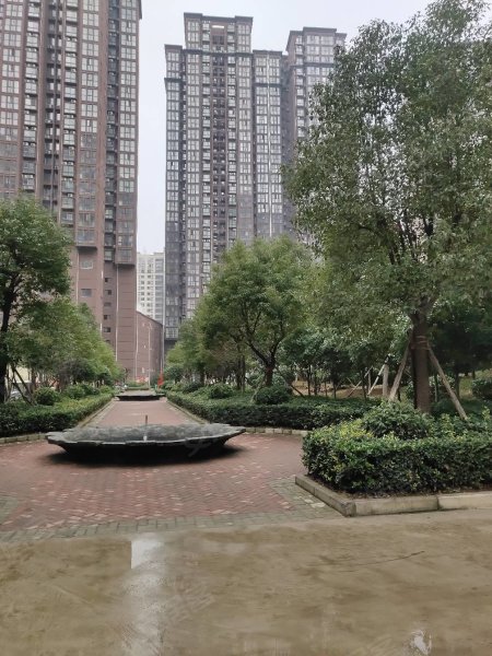 南陽(yáng)盛世御苑最新動(dòng)態(tài)揭秘，全面指南與步驟詳解