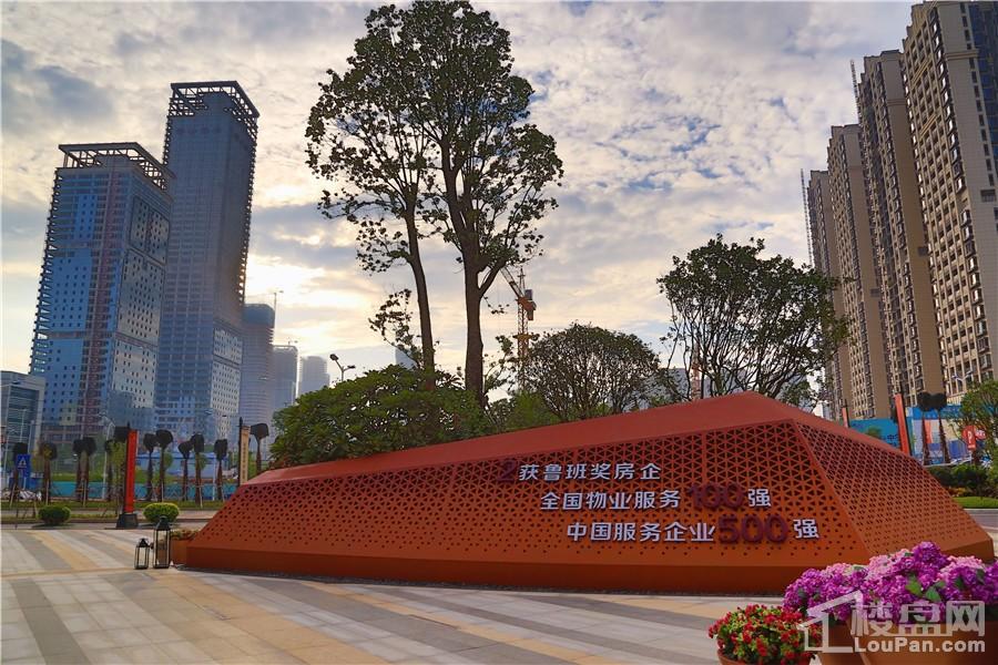 南寧彰泰城最新動(dòng)態(tài)，解讀其最新發(fā)展及影響的一種觀(guān)點(diǎn)分析