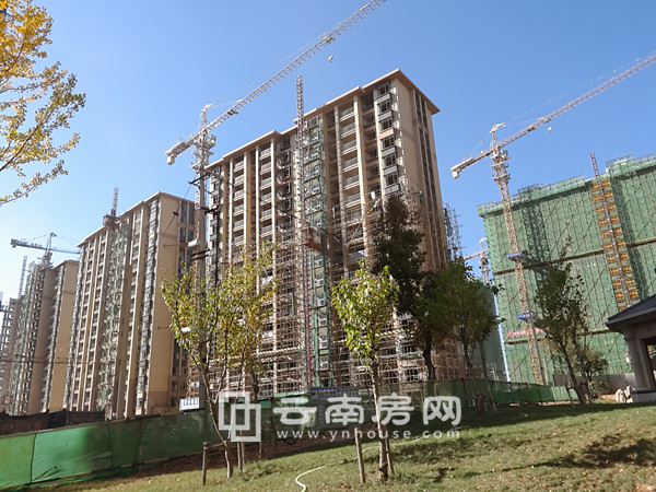 LED光源 第235頁(yè)