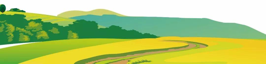 藍田縣未來(lái)藍圖，最新發(fā)展規劃揭秘