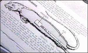 美國填尸最新進(jìn)展，高科技重塑生活，未來(lái)科技魅力體驗