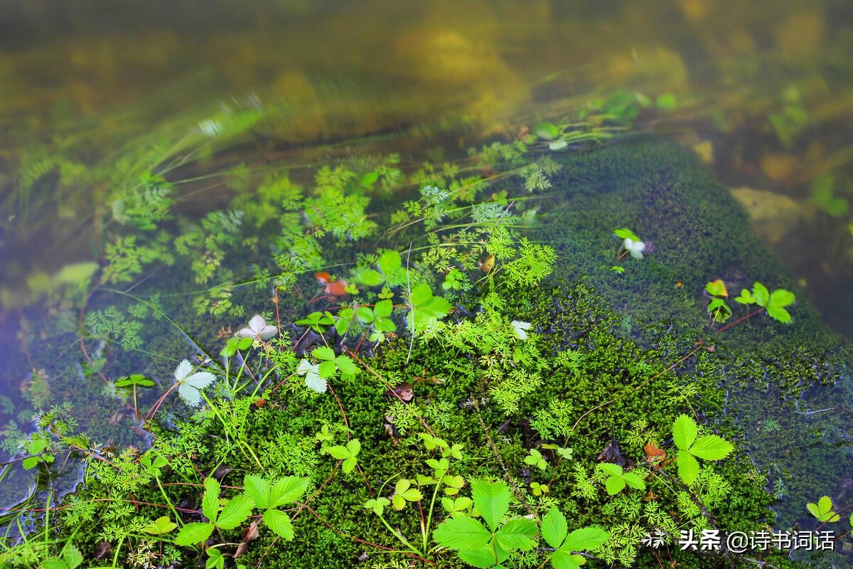 南山高樓崛起，背景、發(fā)展與時(shí)代地位全景解析