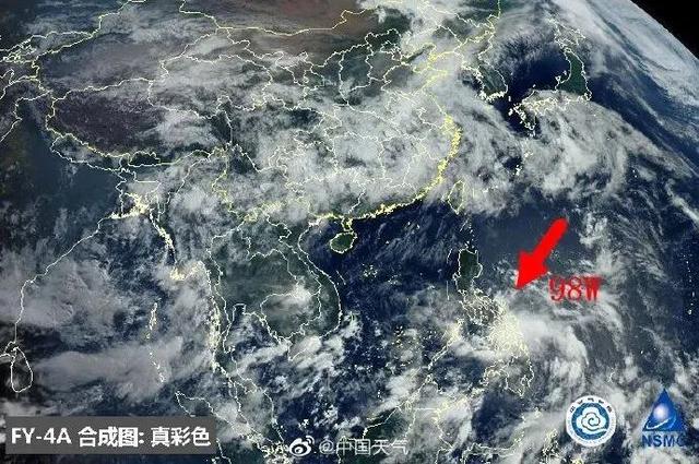 臺風(fēng)鸚鵡的最新動(dòng)態(tài)，逆風(fēng)翱翔的力量與學(xué)習魅力