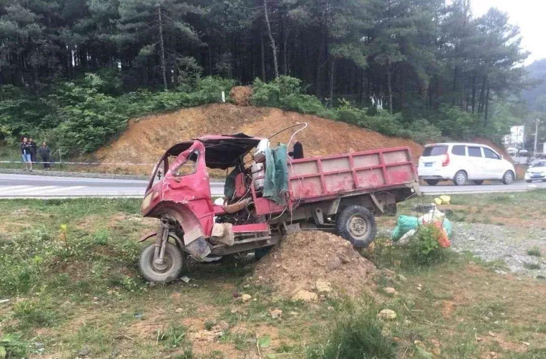 平山事故背后的溫馨故事，友情、愛(ài)與陪伴的奇遇