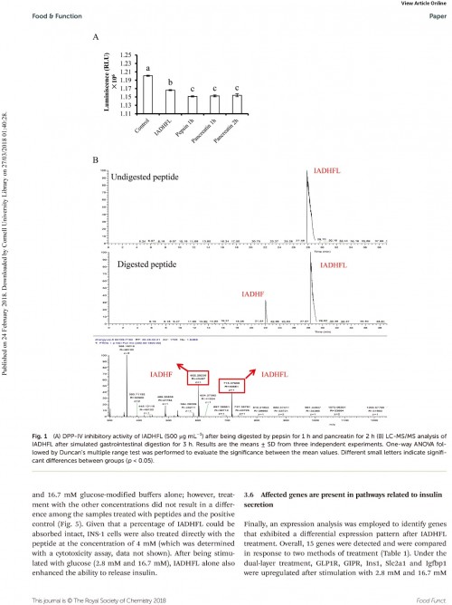 糖肽最新文獻，自然之旅的心靈探尋之旅，尋找內心的寧靜