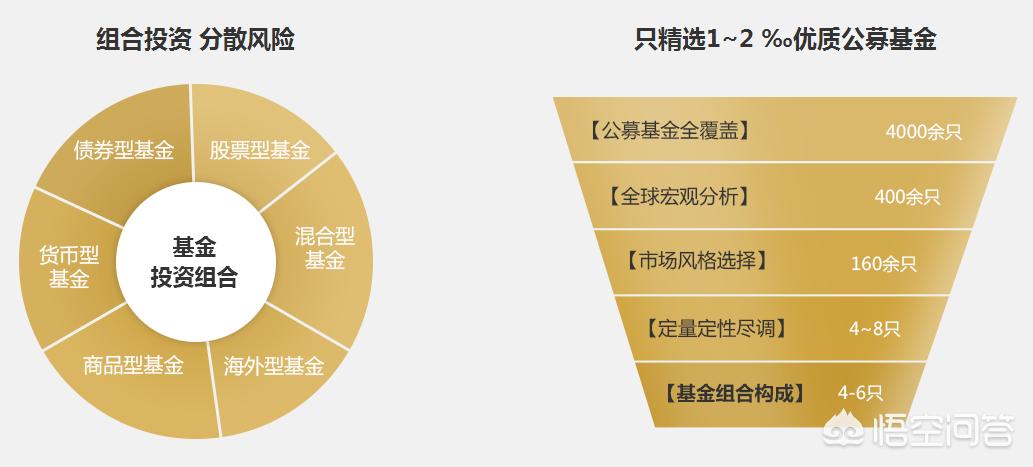 深度解析，今年養雞產(chǎn)業(yè)趨勢與前景展望