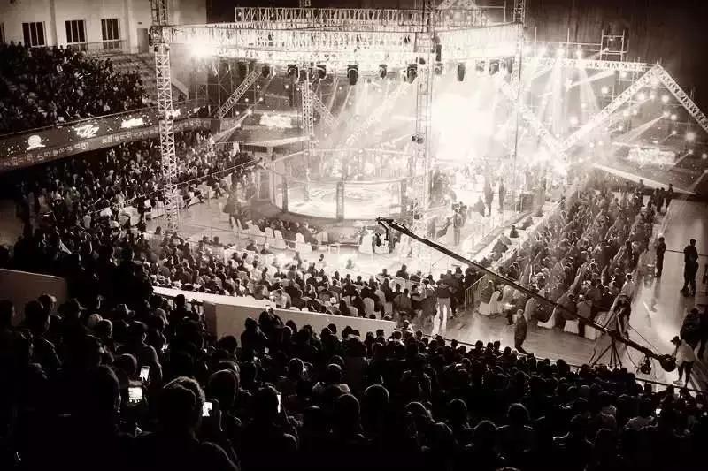 武林籠中對最新一期，自然美景中的對決與內心平靜之旅