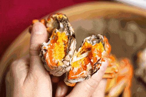 ??陽(yáng)澄湖螃蟹上市季節情報，吃貨必知的秋季美味盛宴！??