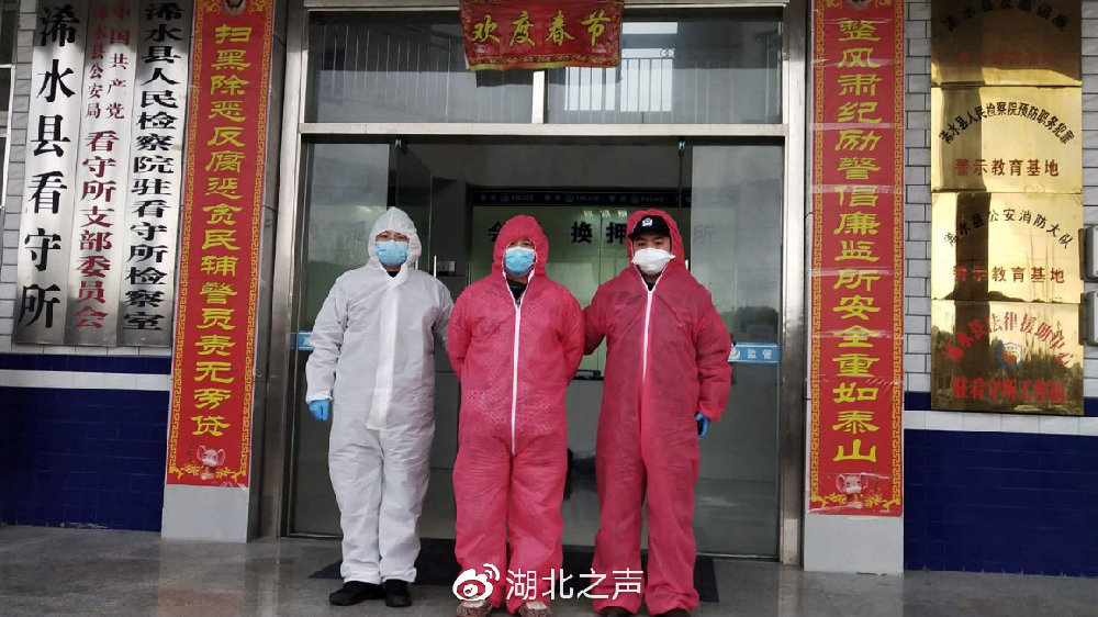 浠水最新疫情,浠水最新疫情下的自然探索之旅，尋找內心的寧靜與平和