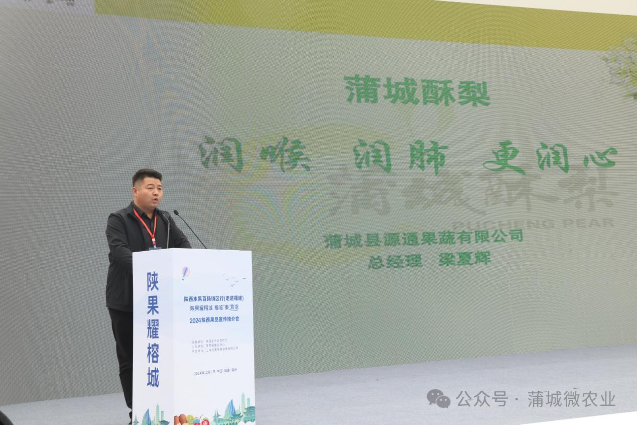 梨城資訊速遞，探索梨城新動(dòng)態(tài)與發(fā)展趨勢