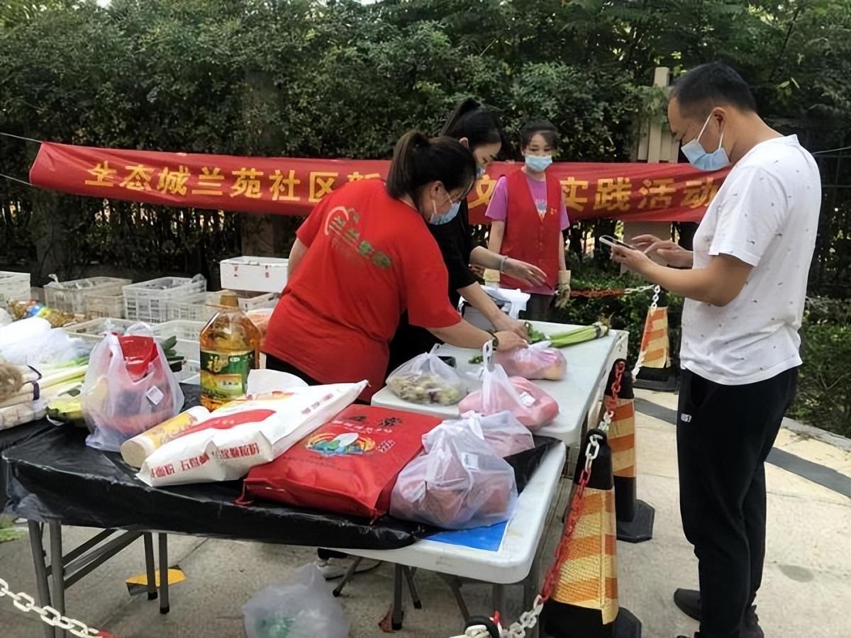 保利華潤紫云價(jià)格深度解析，探尋背后的故事與地位影響