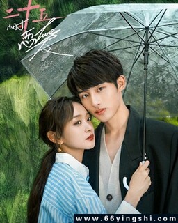 最新電視劇免費下載，小巷深處的影視寶藏探索