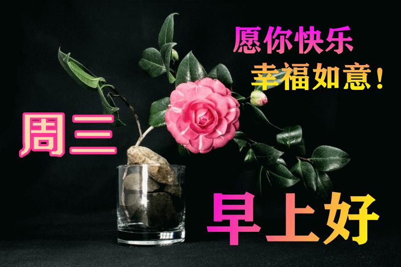 最新早晨問(wèn)候動(dòng)態(tài)表情包，溫馨問(wèn)候，從表情開(kāi)始！