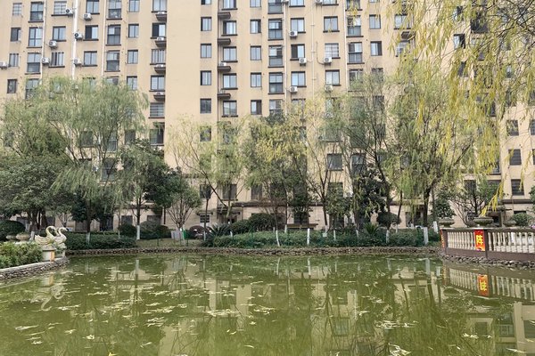 中豪明珠城最新價(jià)格，時(shí)代印記與城市的脈動(dòng)