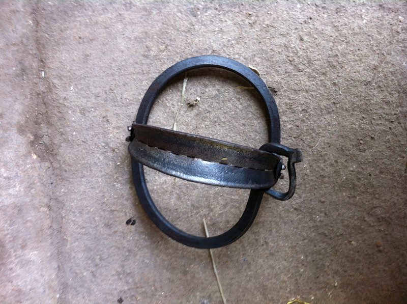 新款野豬夾子，現代狩獵與土地管理的必備利器