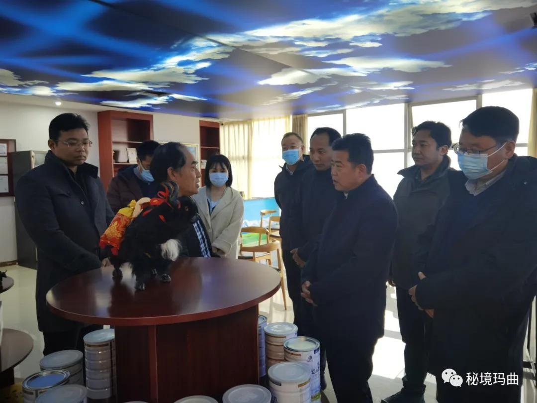 高原之寶上市，學(xué)習、蛻變與自信的輝煌之旅