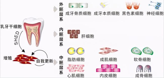 廣場(chǎng)燈具 第189頁(yè)