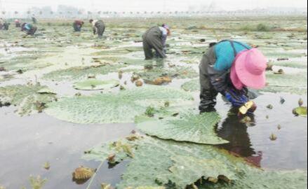 王碼五最新版，鍵盤(pán)上的友情與家的溫馨體驗