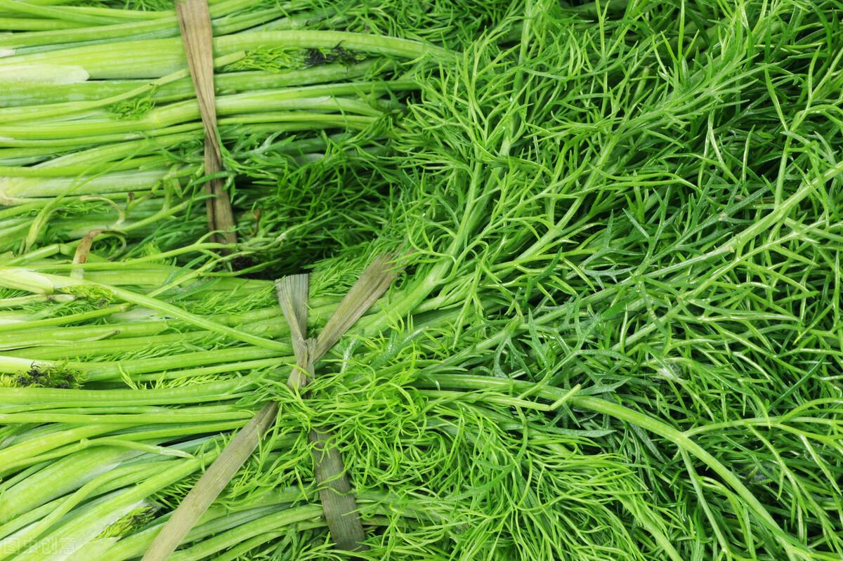 茴香價(jià)格動(dòng)態(tài)，香氣變化與你的關(guān)聯(lián)