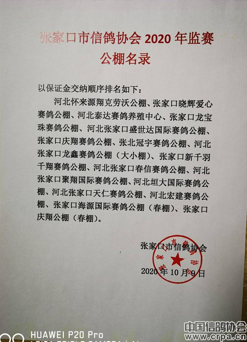 東光信鴿協(xié)會(huì )最新通告，小巷深處的獨特風(fēng)味揭秘與信鴿活動(dòng)更新通知