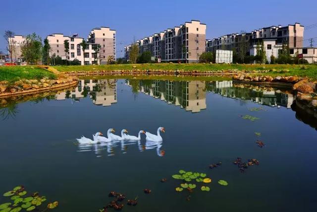 萍鄉安源湖，最新動(dòng)態(tài)揭示湖畔變革與自我超越之旅