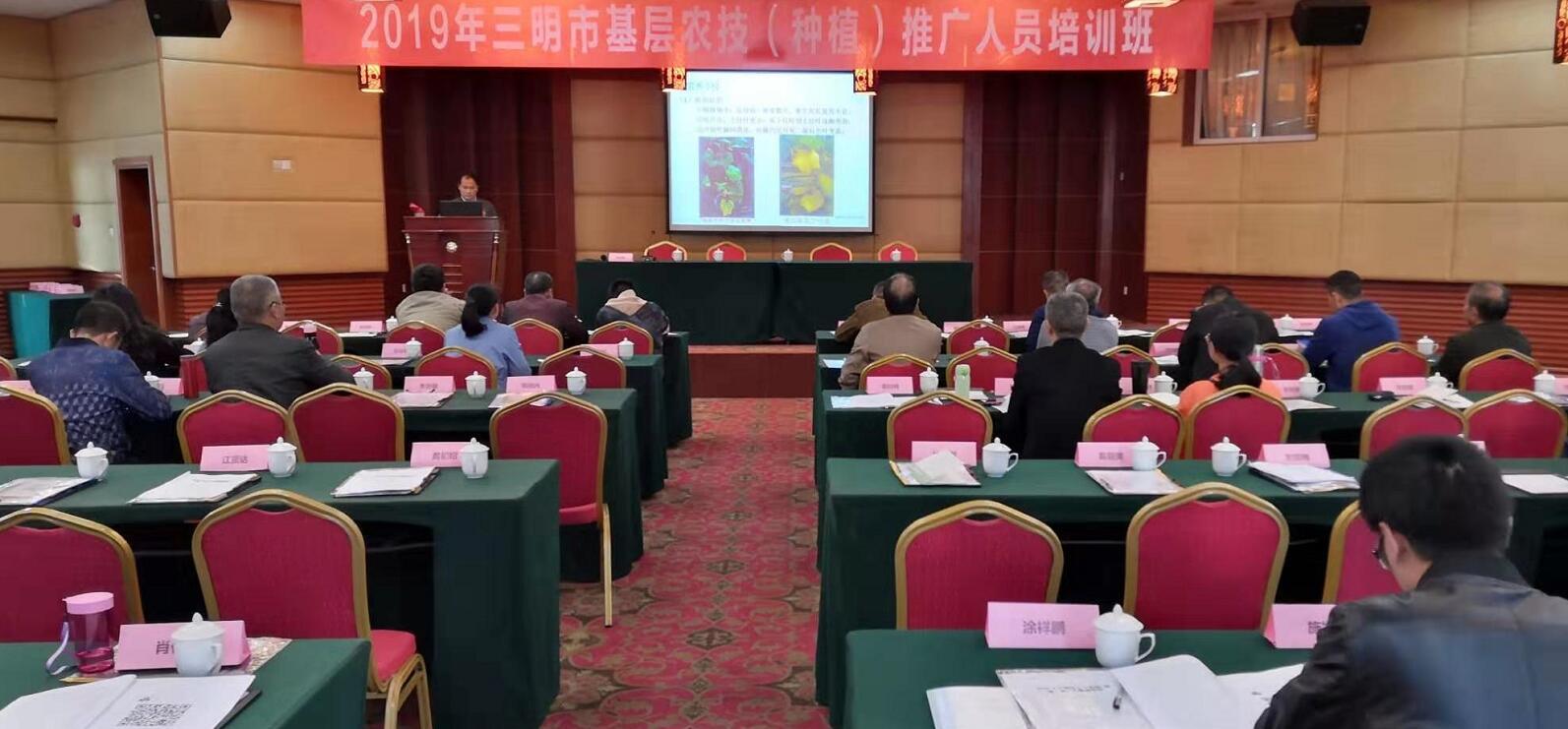 豇豆最新，廚房中的友情與家的溫馨