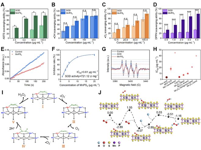 頭發(fā)再生研究新動(dòng)態(tài),頭發(fā)再生研究新動(dòng)態(tài)，小巷深處的秘密秀發(fā)實(shí)驗室