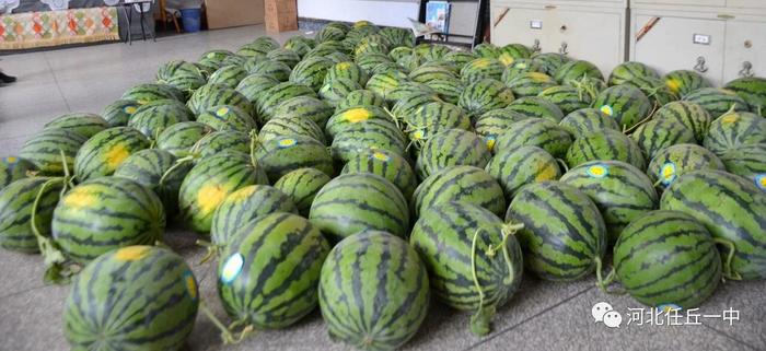 任丘工業(yè)停產(chǎn)最新動(dòng)態(tài)????