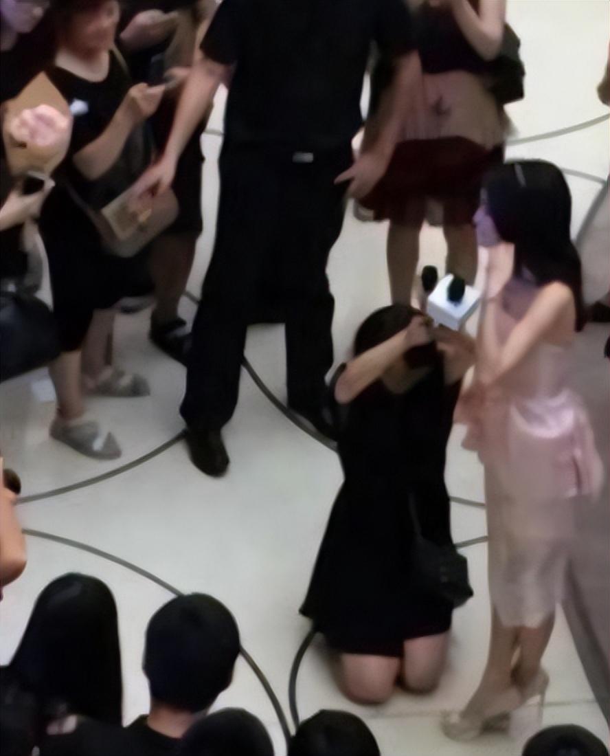 明星麥克風(fēng)，自然之旅的心靈探尋，尋找內心的寧靜之聲