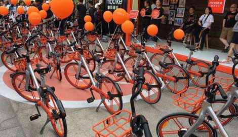 洛陽(yáng)摩拜單車(chē)最新職位招聘啟事