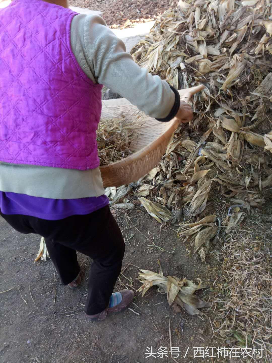 彬縣撤縣設區最新進(jìn)展，最新動(dòng)態(tài)更新