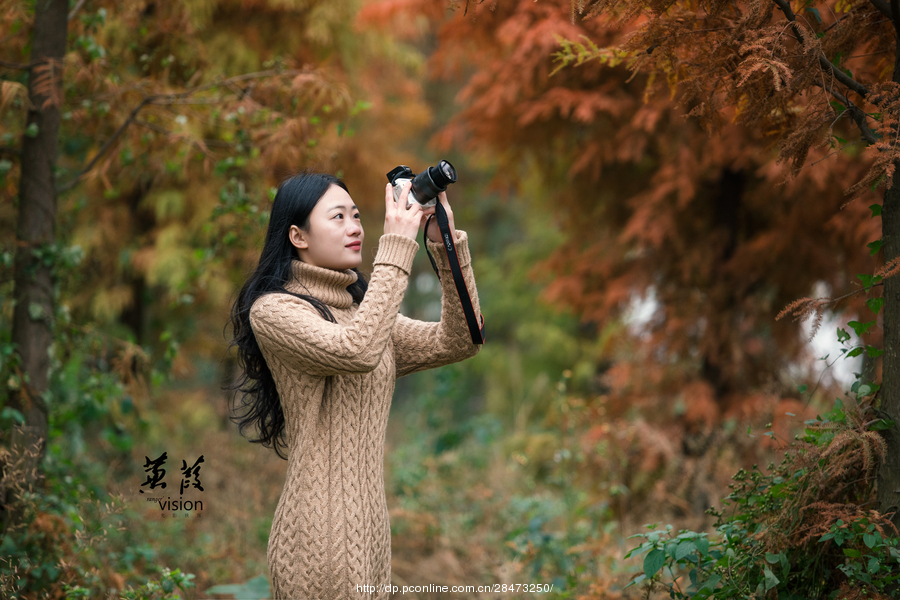 伊人在線(xiàn)電影，探索現代網(wǎng)絡(luò )影視的新境界