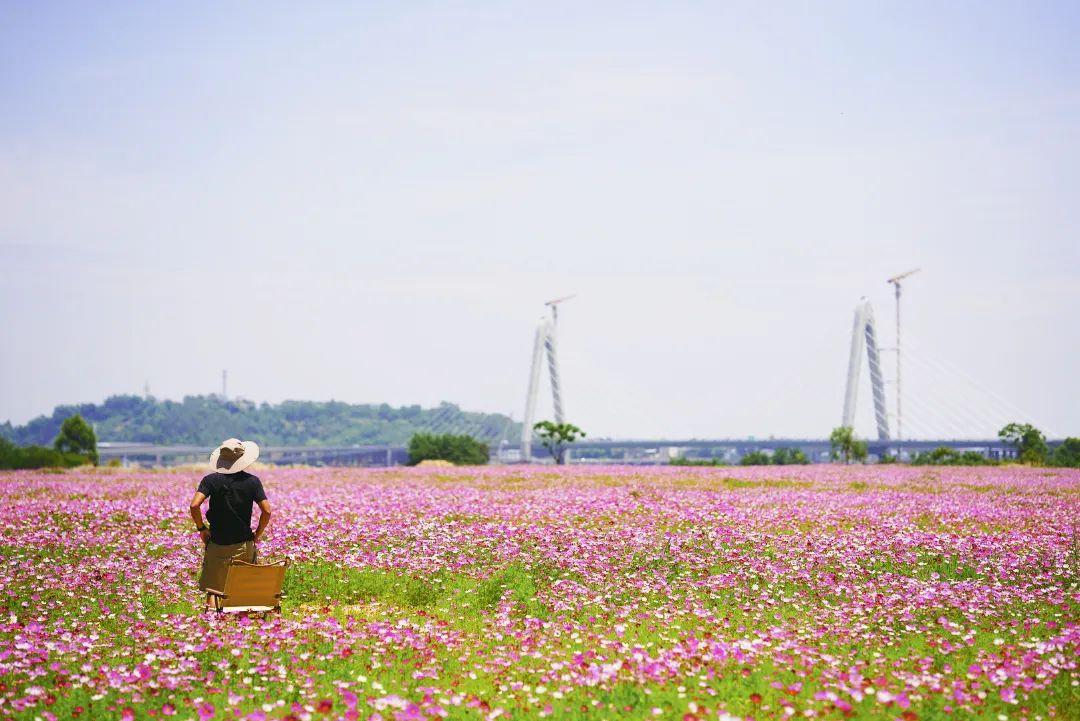 陳小北聚焦科技前沿，引領(lǐng)創(chuàng  )新潮流新動(dòng)態(tài)