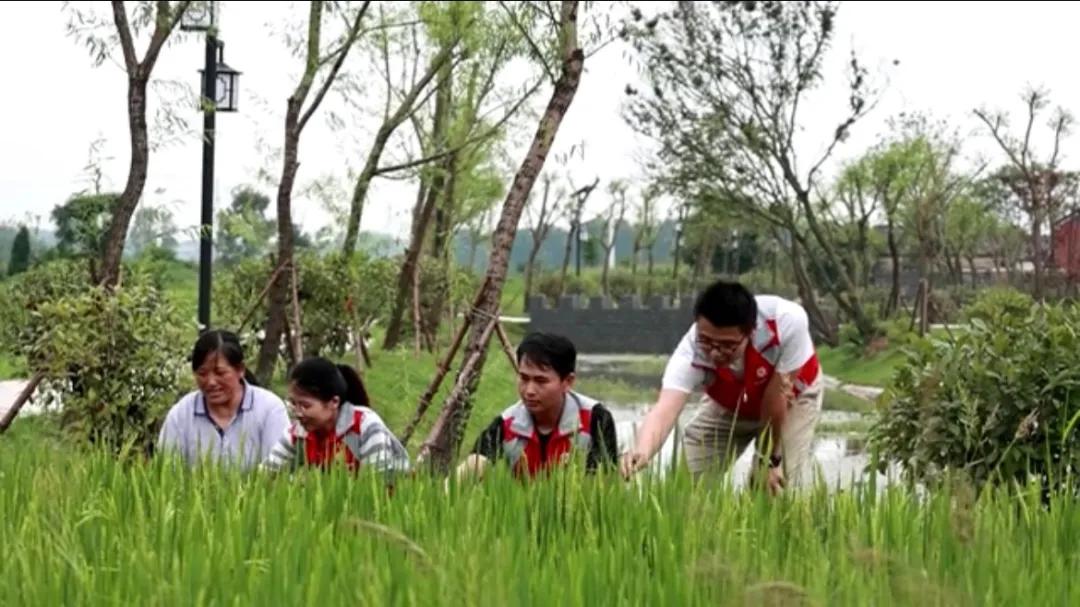 曲陽(yáng)縣城最新招聘信息揭秘，小巷中的獨特小店等你來(lái)探索！