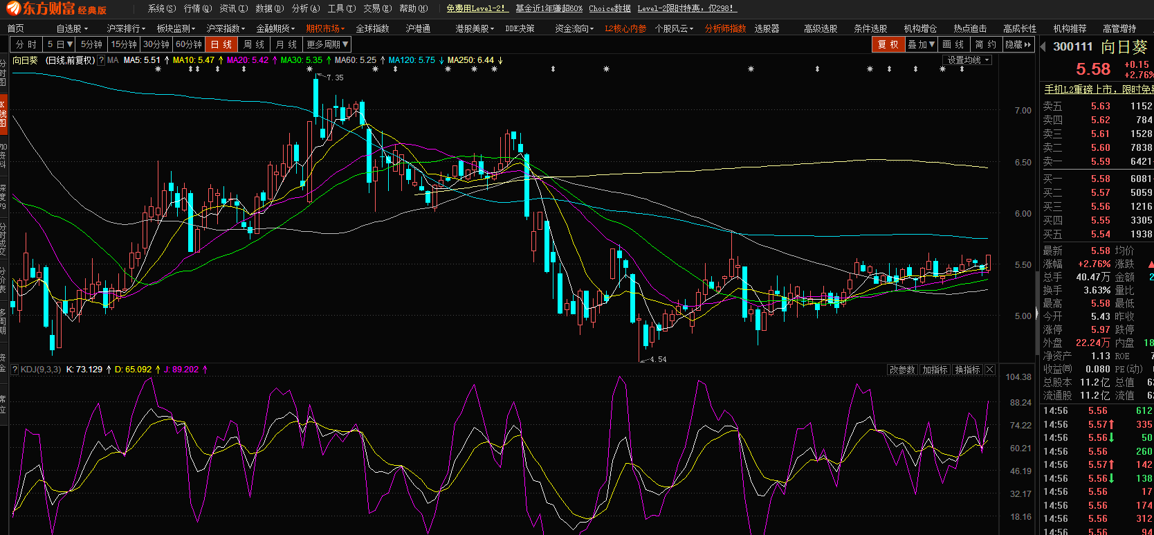 股市小天地，友情大天地——我與股票300141的日常故事分享