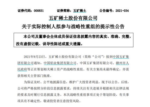 南方稀土股票，小巷中的隱秘寶藏，探索投資魅力的未知之旅