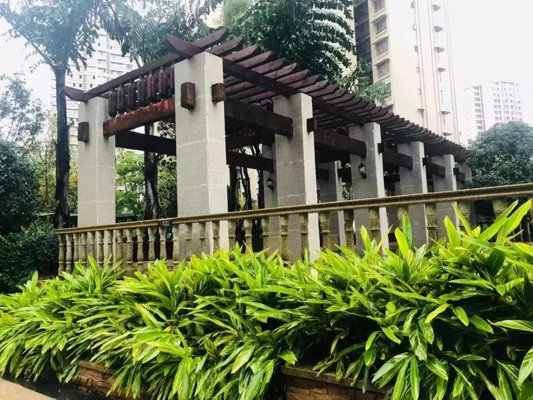 陽(yáng)光江山金岸最新動(dòng)態(tài)揭秘，全面指南與步驟詳解