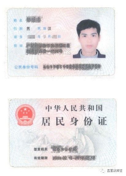 最新證照，友情與陪伴的溫馨故事之旅